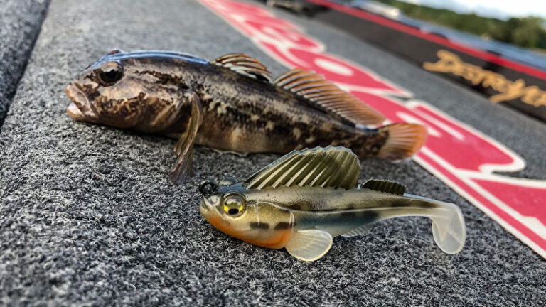 Megabass Dark Sleeper