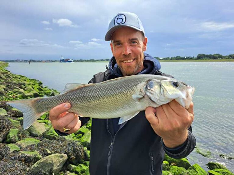 6th sense fishing provoke
