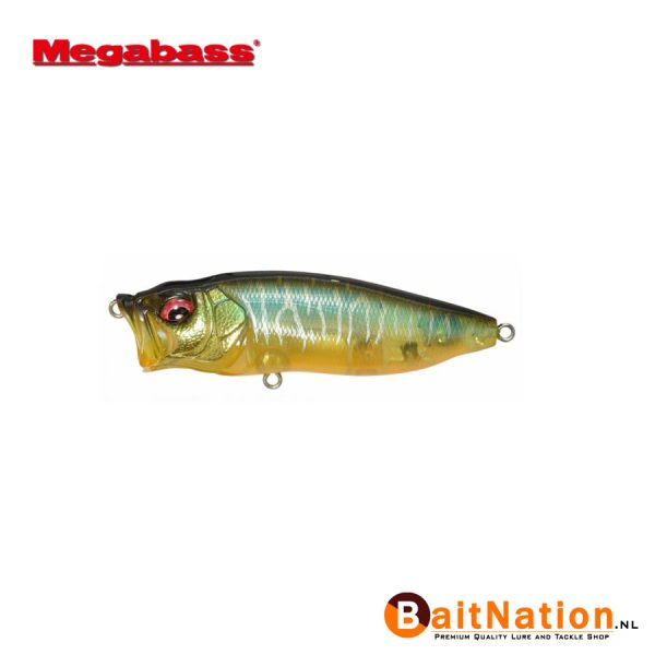 Megabass Popmax Gin Tonic Tiger