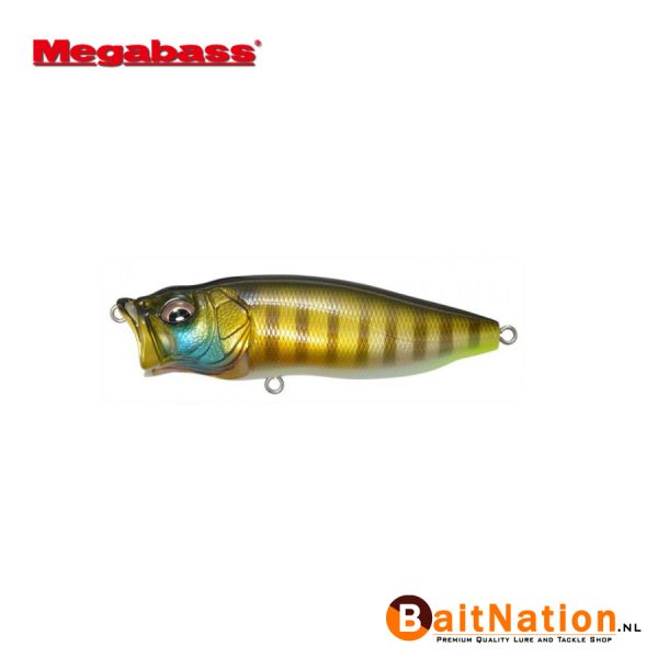 Megabass Popmax PM Gill