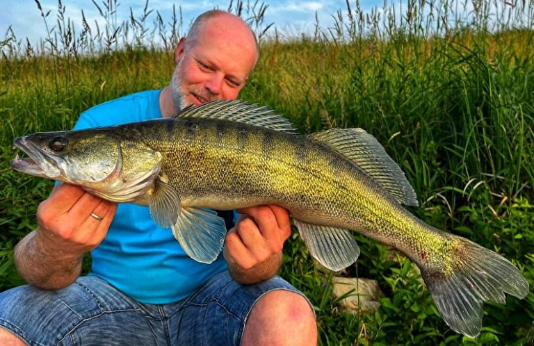 Snoekbaars