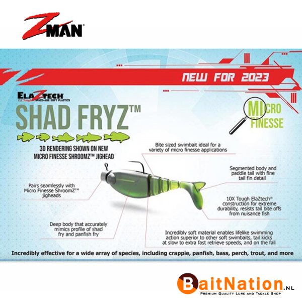 Z Man Shad Fryz infographic