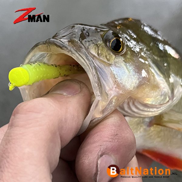 Z Man Tiny TicklerZ