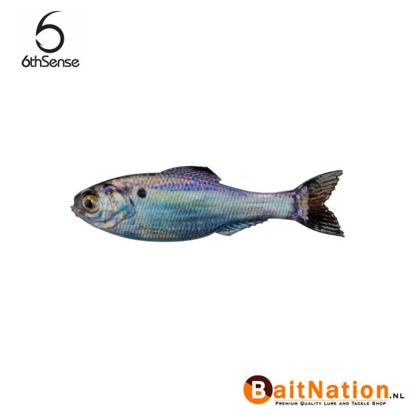 6th Sense Fishing Panorama Live Gizzard Shad
