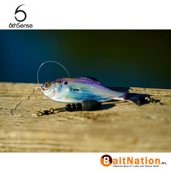 6th Sense Fishing Panorama Live Gizzard Shad