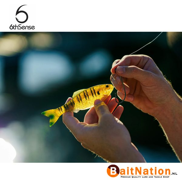 Nieuw! 6th Sense Fishing Panorama Live Sunfish