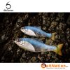 6th Sense Fishing Panorama Pro Blue