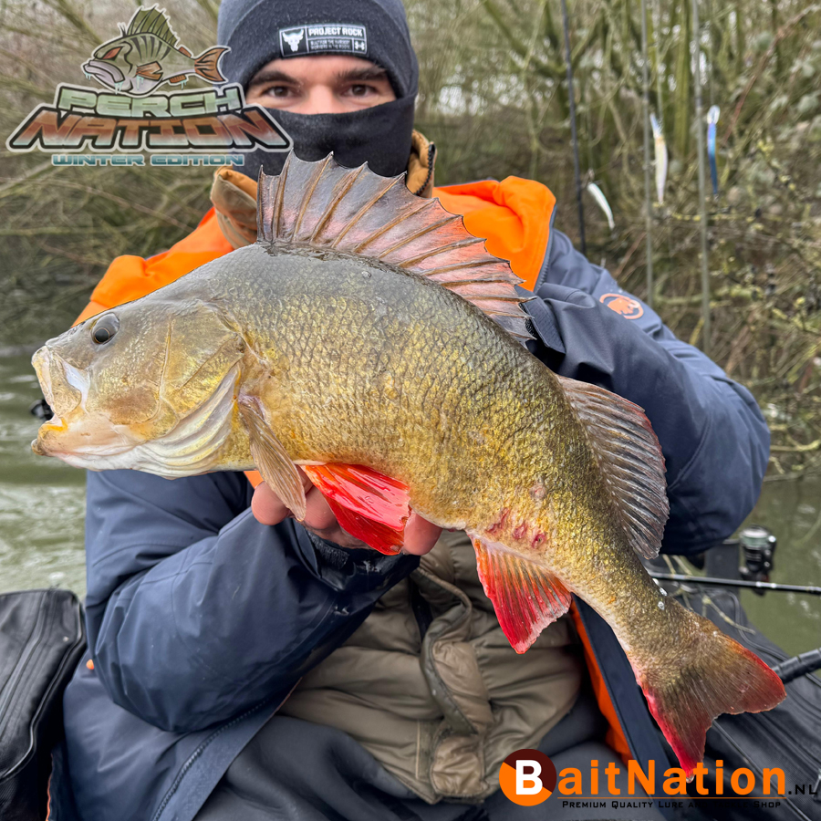 Perchnation_ 2025_Winter