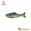 6th Sense Fishing Panorama 4K Bluegill