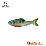 6th Sense Fishing Panorama 4K Bluegill