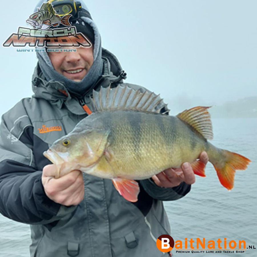 Perchnation_ 2025_Winter