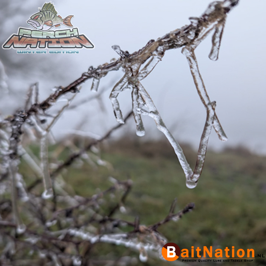 Perchnation_ 2025_Winter