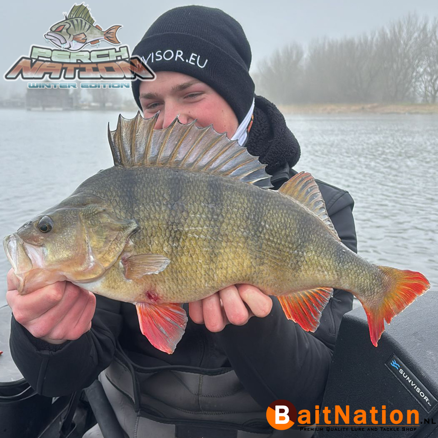 Perchnation_ 2025_Winter