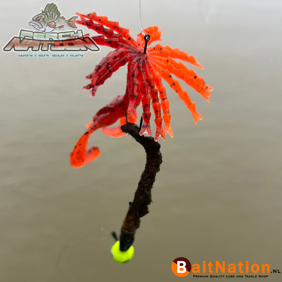 Perchnation_ 2025_Winter