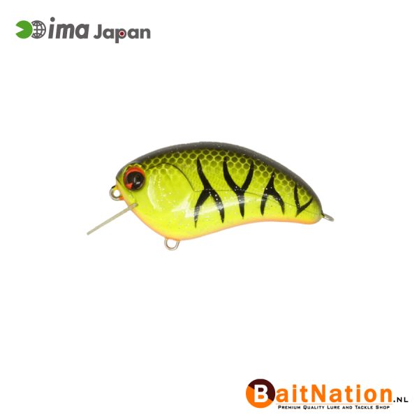 Ima Squarebill Barred black Back chartreuse