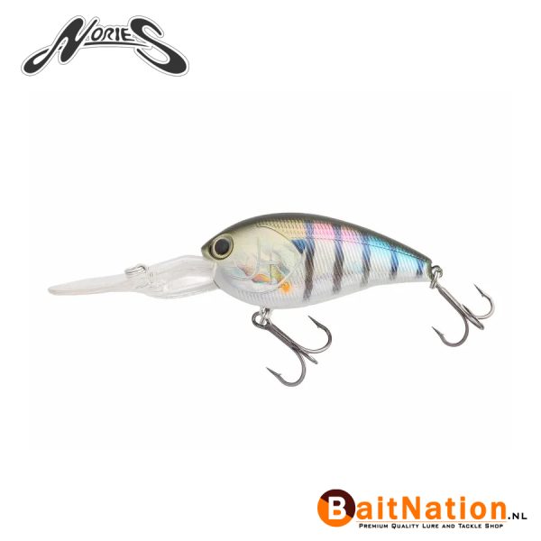 Nories Shot Over 35 TS Hologram Flashing Gill