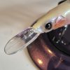 Megabass Vision Oneten +1 GP Baby Kingyo