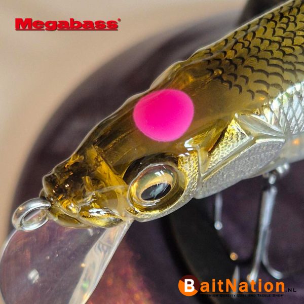 Megabass Vision Oneten Hitokuchi Wakasagi