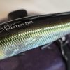 Megabass Vision Oneten SR SH SE Ayu