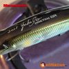 Megabass Vision Oneten SR SH SE Ayu