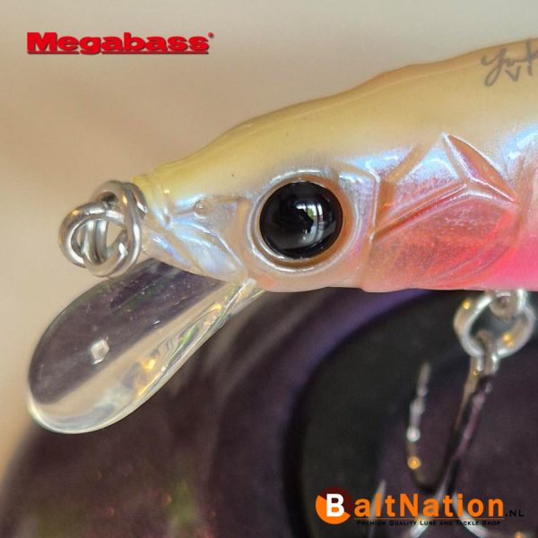 Megabass Vision Oneten jr GP Baby Kingyo