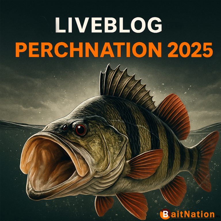 liveblog perchnation