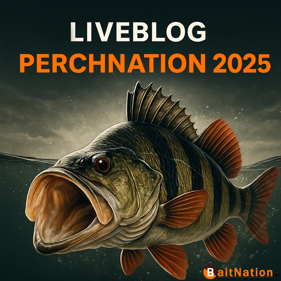 liveblog perchnation