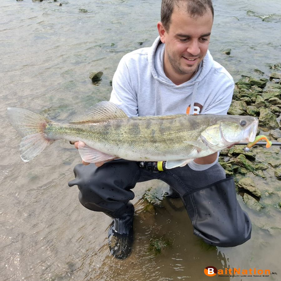 Said-snoekbaars-Noike-wobble-shad