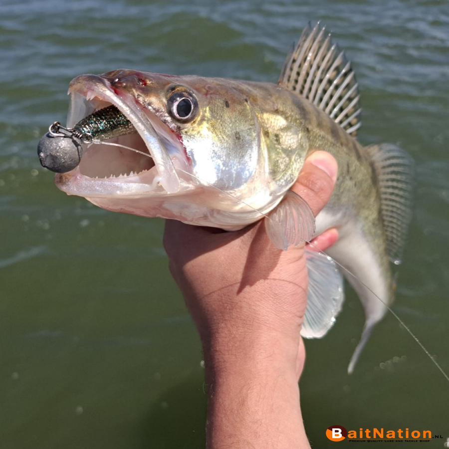 Said-snoekbaars-Noike-wobble-shad