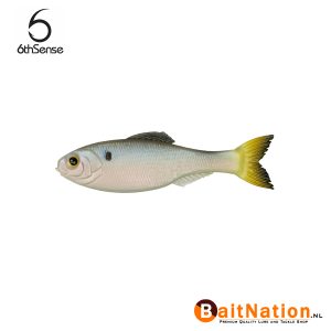 6th Sense Fishing Panorama Clearwater Shad