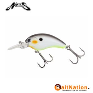 Nories Worming Crank Shot Decatur shad