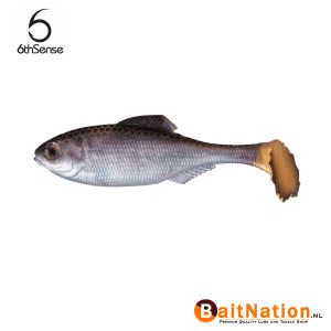 6th Sense Fishing Panorama Swimbait Live Shad