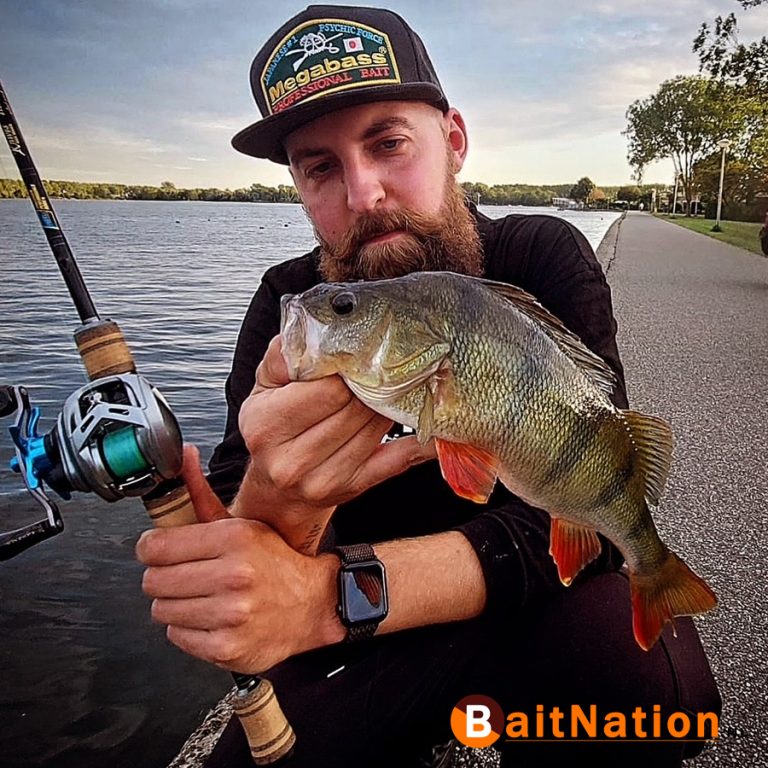 BFS Baitfinesse