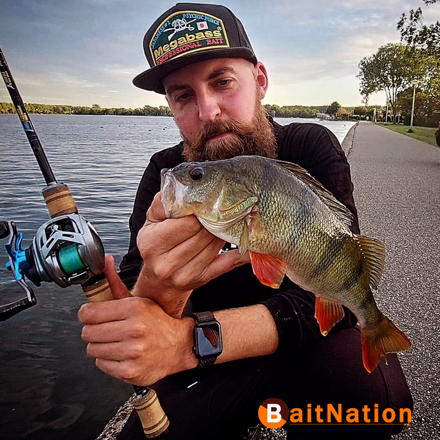 BFS Baitfinesse