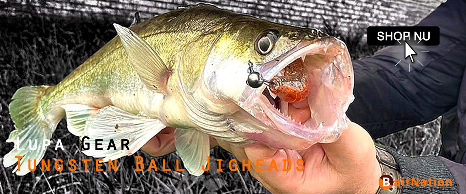 Lupa Gear Tungsten Ball Jigheads