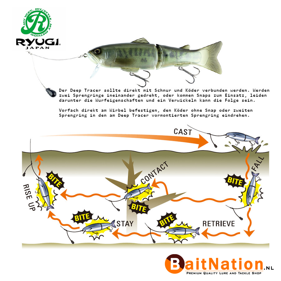 Ryugi Deep Tracer