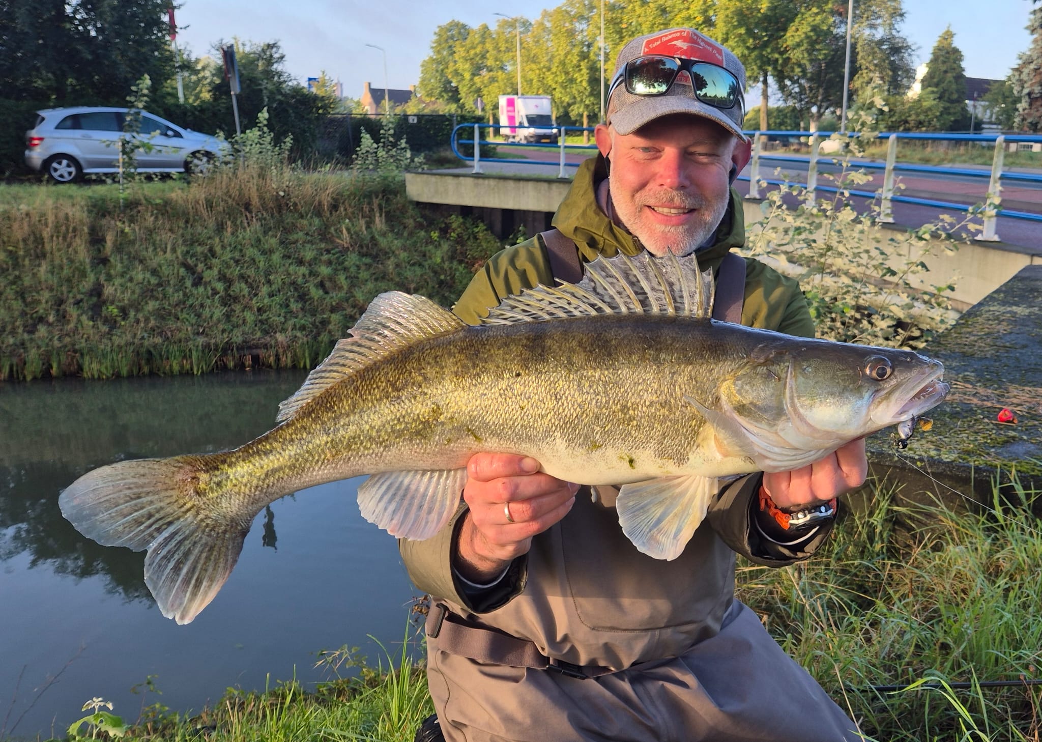 6th Sense Fishing Panorama swimbait restock