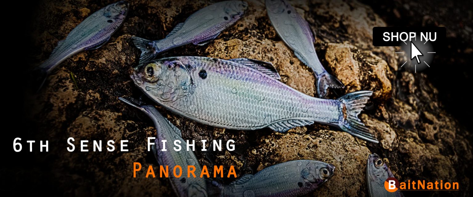 6th Sense Fishing panorama