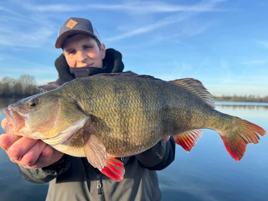 fotodump perchnation 2026