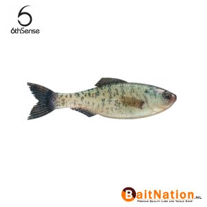 6th Sense Fishing Plump Panorama Live Crappie