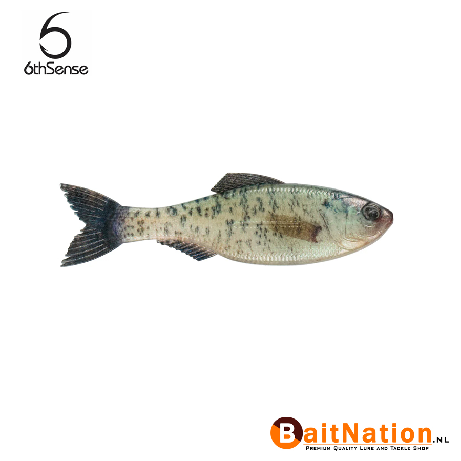 6th Sense Fishing Plump Panorama Live Crappie