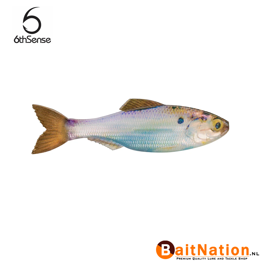 6th Sense Fishing Plump Panorama Live Gizzard Shad