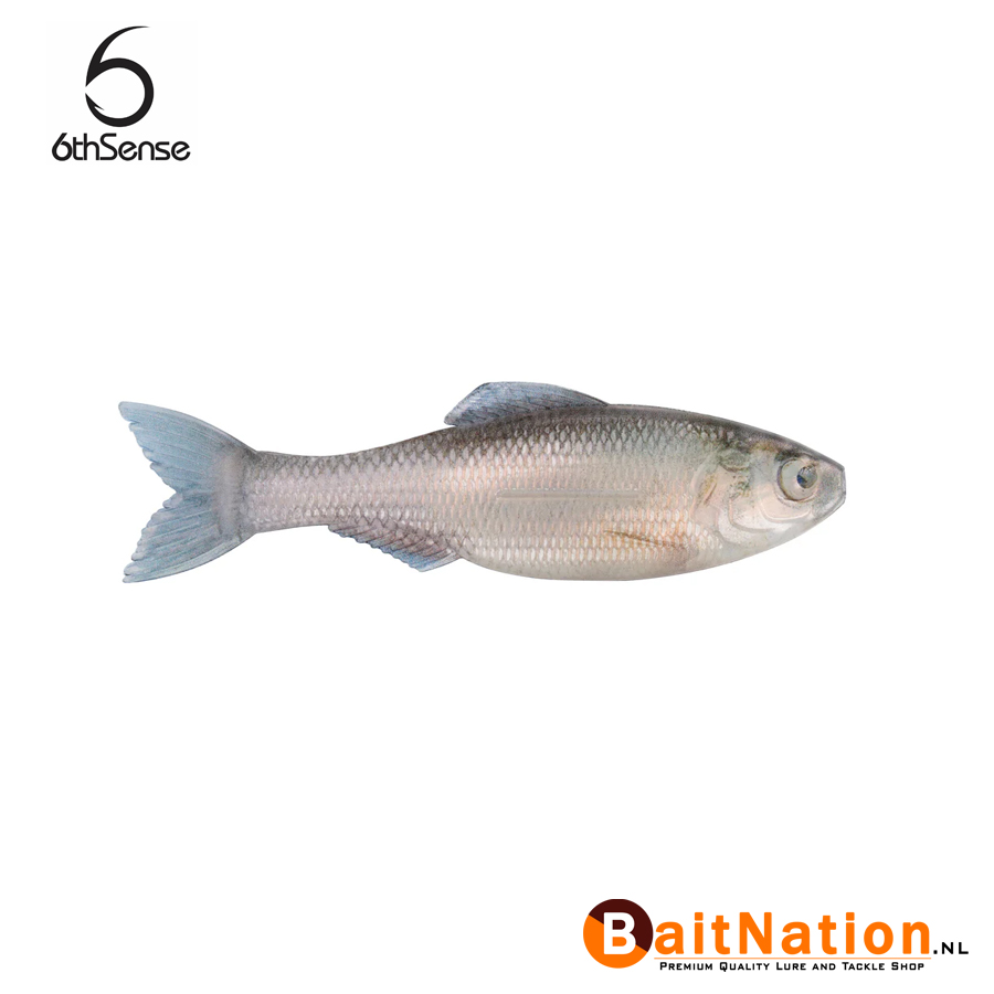 6th Sense Fishing Plump Panorama Live Minnow