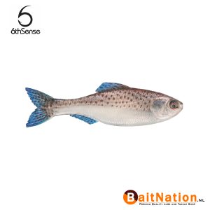 6th Sense Fishing Plump Panorama Baby Speck