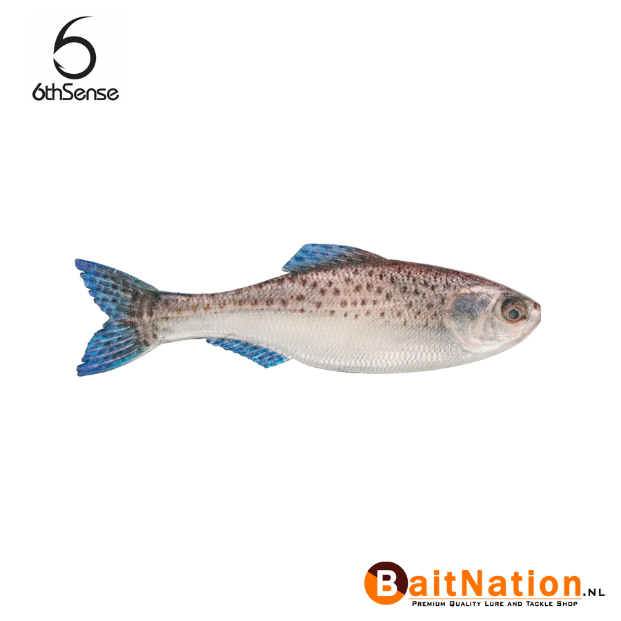 6th Sense Fishing Plump Panorama Baby Speck