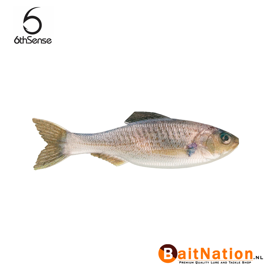 6th Sense Fishing Plump Panorama Live Croaker