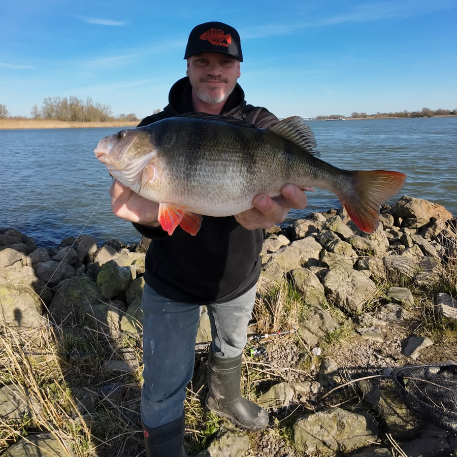 Bram Blokland met een grote baars gevangen op de 6th Sense Fishing Bodega